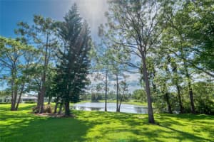 12906 ROYAL GEORGE AVENUE, ODESSA, FL 33556 Sold 08/22/25