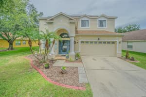 10427 Lucaya Dr, TAMPA