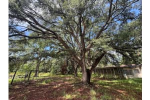 15899 132ND COURT, FORT MC COY, FL 32134 - MLS#MFRTB8407858