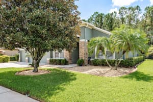 16722 IVY LAKE DRIVE, ODESSA, FL 33556 - MLS#MFRTB8407913
