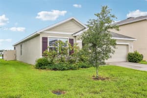 15825 MAUVEWOOD AVENUE, ODESSA, FL 33556 - MLS#MFRTB8407931