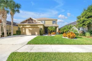 27094 CAROLINA ASTER DRIVE, WESLEY CHAPEL, FL 33544 - MLS#MFRTB8407996