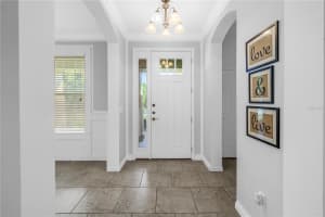 27094 CAROLINA ASTER DRIVE, WESLEY CHAPEL, FL 33544 - MLS#MFRTB8407996