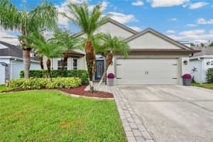 3118 Sunwatch Dr, WESLEY CHAPEL