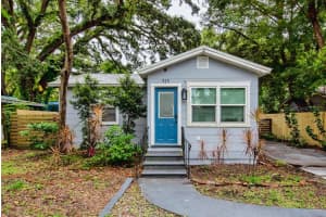 919 E Flora St, TAMPA