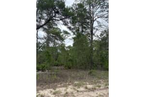 27 STATICE COURT, HOMOSASSA, FL 34446 - MLS#MFRTB8408040