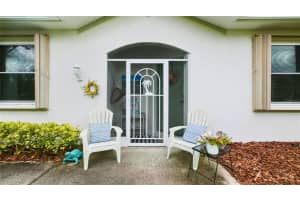 1207 HUNTINGTON GREENS DRIVE, SUN CITY CENTER, FL 33573 - MLS#MFRTB8408081
