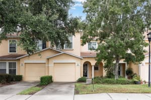 6954 MARBLE FAWN PLACE, RIVERVIEW, FL 33578 Sold 08/22/25