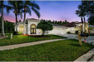 19331 Wind Dancer St, LUTZ