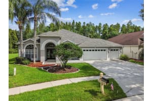 19331 WIND DANCER STREET, LUTZ, FL 33558 - MLS#MFRTB8408119