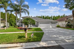 19331 WIND DANCER STREET, LUTZ, FL 33558 - MLS#MFRTB8408119