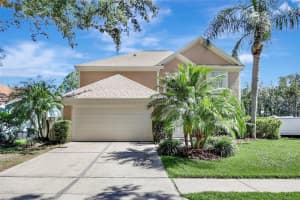 9422 Oak Meadow Ct, TAMPA
