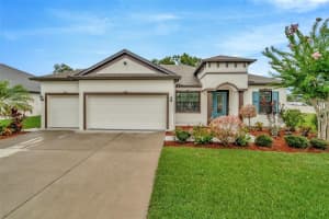 11026 Brahman Ranch Cir, RIVERVIEW