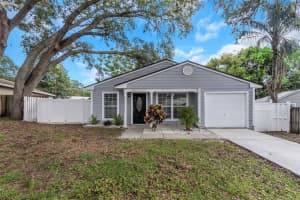 2761 CACTUS HILL PLACE, PALM HARBOR, FL 34684 - MLS#MFRTB8408150