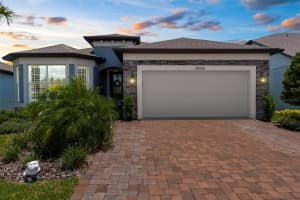 20065 SEA GLASS CIRCLE, LAND O LAKES, FL 34638 - MLS#MFRTB8408163