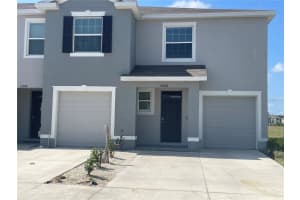 33078 Major Oak Dr, WESLEY CHAPEL