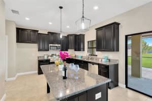 10004 CELTIC ASH DRIVE, RUSKIN, FL 33573 Sold 09/22/25