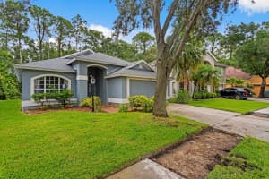 10420 SPRINGROSE, TAMPA, FL 33626 - MLS#MFRTB8408238