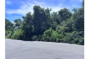 1606 11TH ST, ORLANDO, FL 32824 - MLS#MFRTB8408246