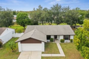 16032 EAGLE RIVER WAY, TAMPA, FL 33624 - MLS#MFRTB8408309