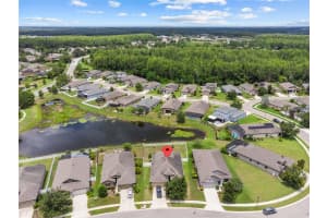 19730 POST ISLAND LOOP, LAND O LAKES, FL 34638 - MLS#MFRTB8408348