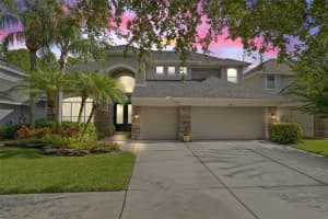 11639 Renaissance View Ct, TAMPA