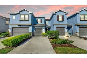 6718 Rocky Park St, TAMPA