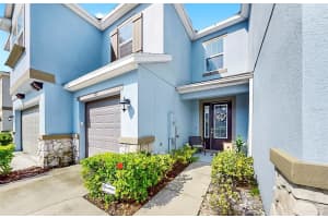 6718 ROCKY PARK STREET, TAMPA, FL 33625 - MLS#MFRTB8408441