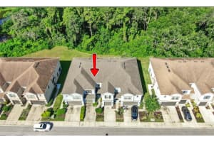 6718 ROCKY PARK STREET, TAMPA, FL 33625 - MLS#MFRTB8408441