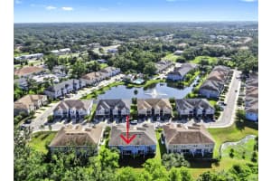 6718 ROCKY PARK STREET, TAMPA, FL 33625 - MLS#MFRTB8408441