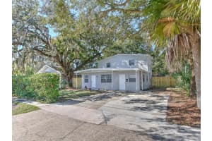 3514 Sarah St, TAMPA
