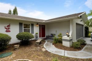 818 EUNICE DRIVE, TARPON SPRINGS, FL 34689 - MLS#MFRTB8408472