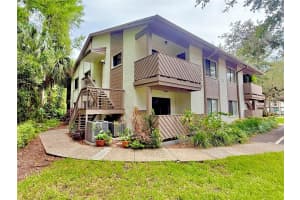 607 SUMMERHILL COURT, SAFETY HARBOR, FL 34695 - MLS#MFRTB8408477