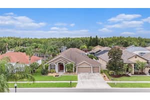 10019 Oxford Chapel Dr, TAMPA