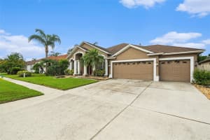 10019 OXFORD CHAPEL DRIVE, TAMPA, FL 33647 - MLS#MFRTB8408498