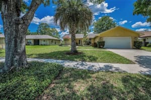 1334 Glengarry Dr, PALM HARBOR
