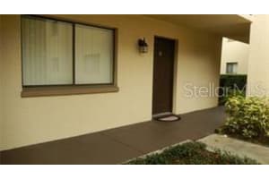 11706 RAINTREE LAKE LANE, TAMPA, FL 33617 - MLS#MFRTB8408524