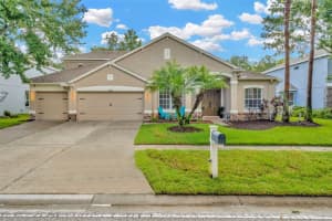 7444 Night Heron Dr, LAND O LAKES
