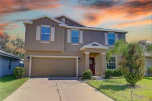 10202 Strawberry Tetra Dr, RIVERVIEW