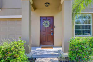 10202 STRAWBERRY TETRA DRIVE, RIVERVIEW, FL 33578 - MLS#MFRTB8408552