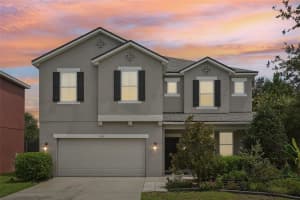 7722 Tangle Rush Dr, GIBSONTON
