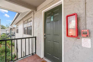 201 PINE VIOLET COURT, TAMPA, FL 33612 - MLS#MFRTB8408565