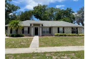 12008 N Oregon Ave, TAMPA
