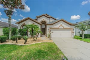 11345 Flora Springs Dr, RIVERVIEW
