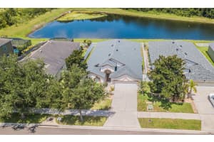 11345 FLORA SPRINGS DRIVE, RIVERVIEW, FL 33579 - MLS#MFRTB8408600