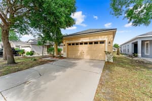 8420 DEER CHASE DRIVE, RIVERVIEW, FL 33578 - MLS#MFRTB8408618