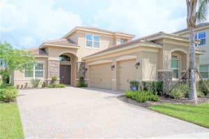 30835 Spruceberry Ct, WESLEY CHAPEL