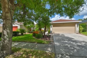 11546 Crestlake Village Dr, RIVERVIEW