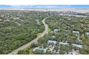 1484 BUCKEYE LANE, PALM HARBOR, FL 34683 - MLS#MFRTB8408656