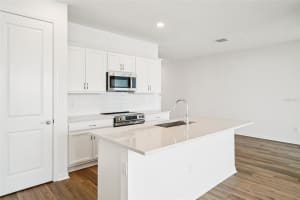 11122 TIDEPOOL COURT, SAN ANTONIO, FL 33576 - MLS#MFRTB8408701